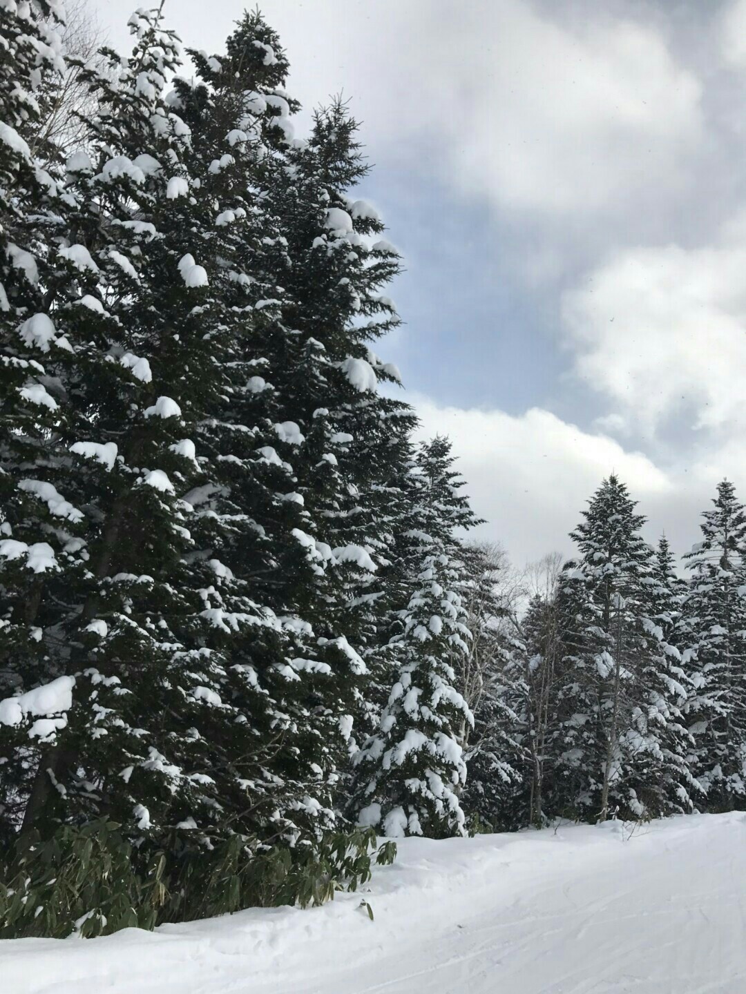IMG_201702091354297.jpg