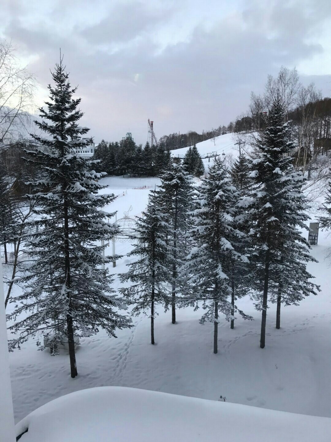IMG_201702091412205.jpg