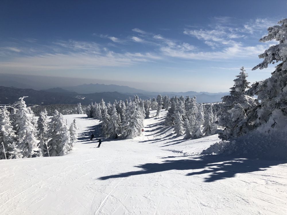 IMG_201902081640117.jpg